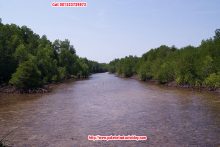 Paket wisata bandung karimun jawa