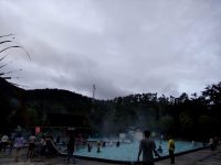 Kunjungan SDN Lengis Bogor di Walini dan Kawah Putih